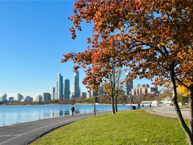 Featured image of post A brief shot of Chicago, by Thom & Nico