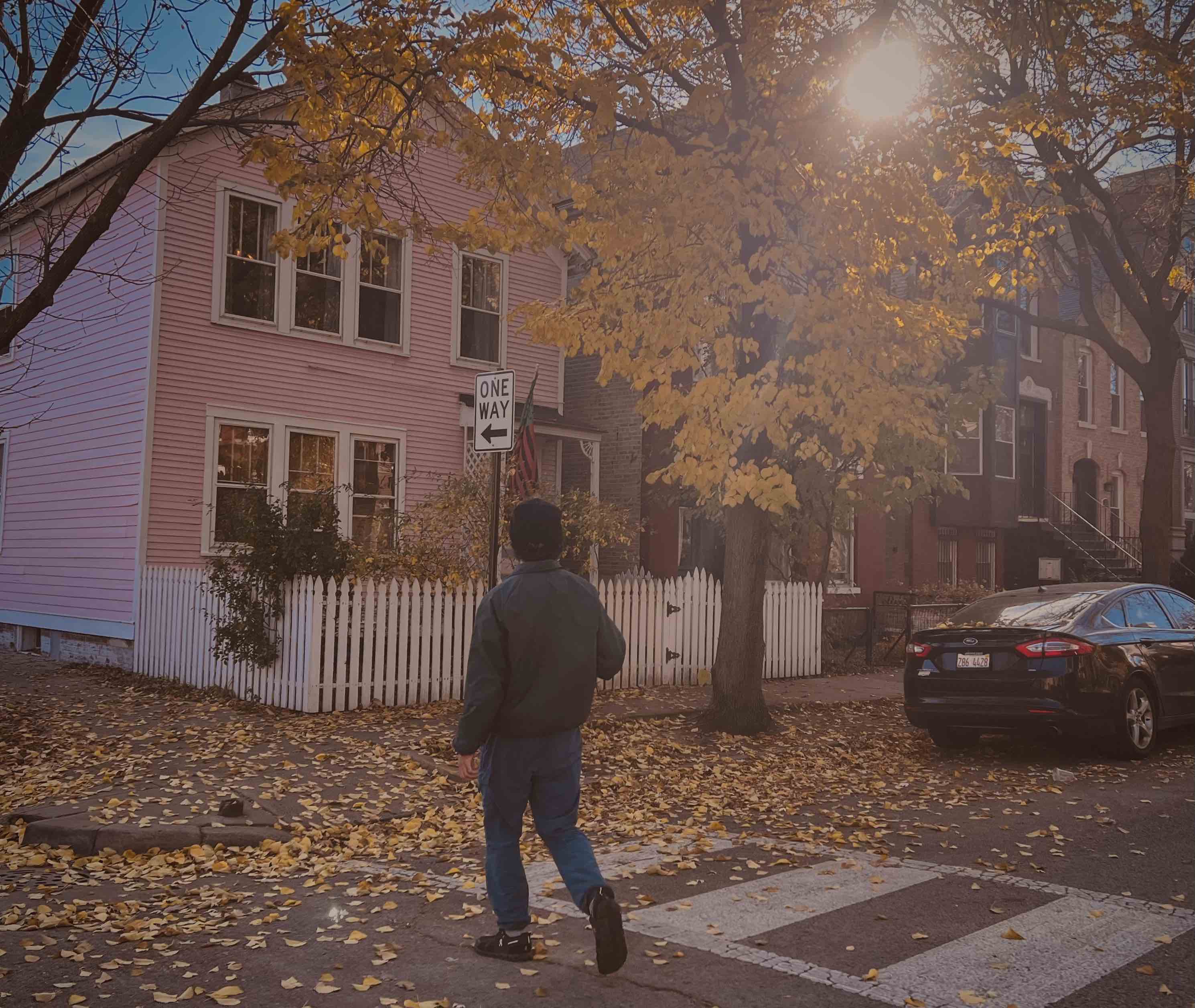 Pink House
