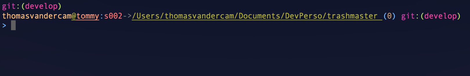 alt après ohmyzsh