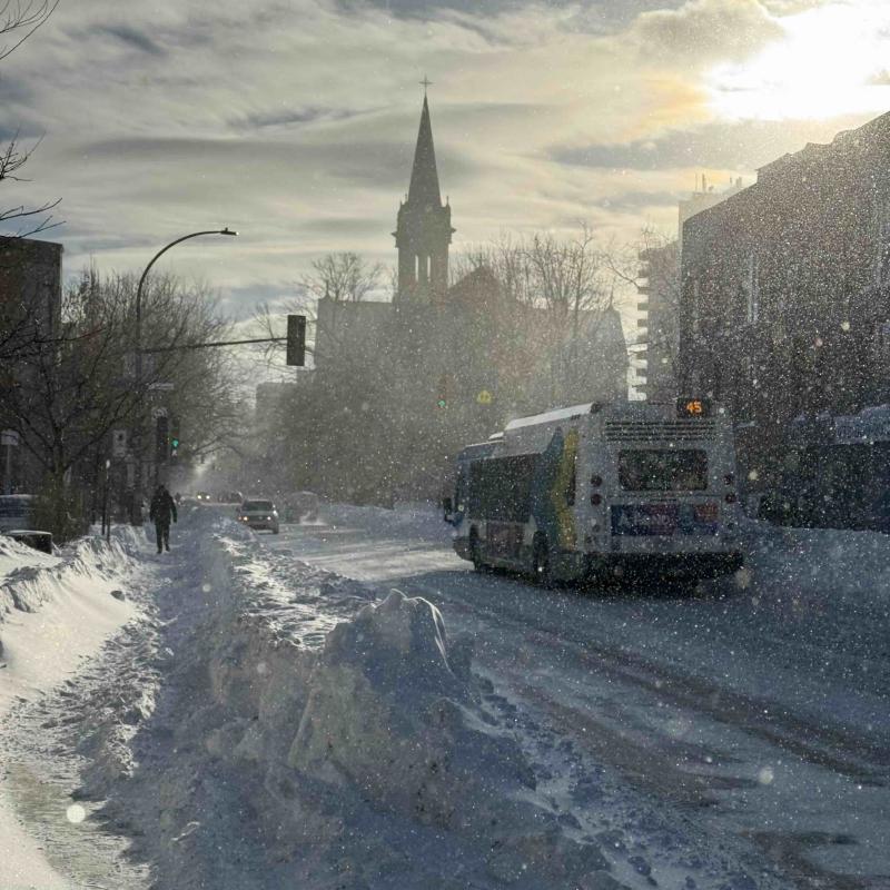 Featured image of post L'arrêt de bus