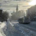 L'arrêt de bus